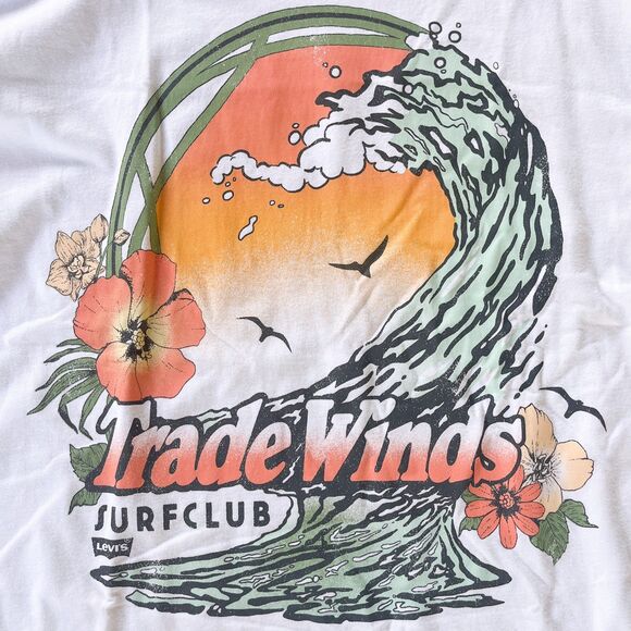 NWOT Levi's Oversized Graphic Short Stack T Shirt - Women's Size Small - Beachy - Picture 2 of 5